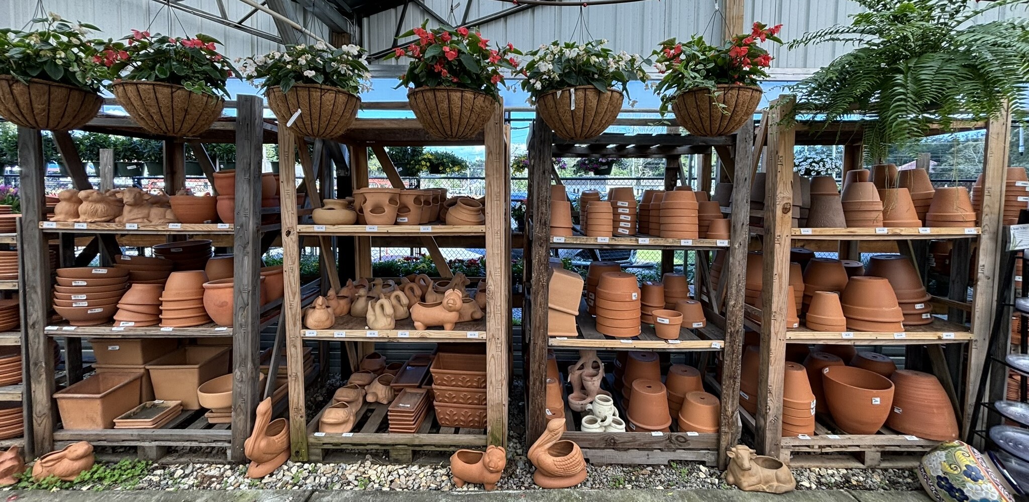 House Plants Pensacola FL | Plant & Flowers Nursery - Bailey's Produce &  Nursery